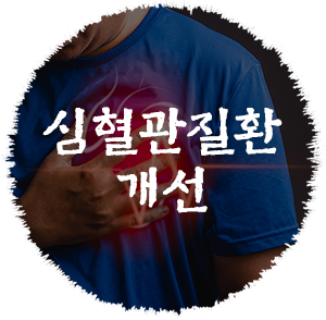 심혈관질환 이미지